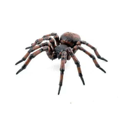 Figurina Papo Garden animals - Common spider