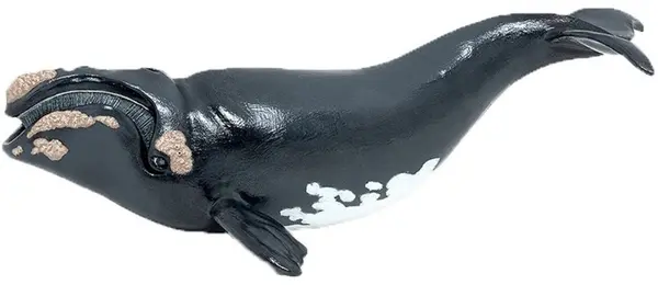 Figurină Papo Marine Life - Balenă din Groenlanda
