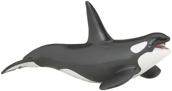 Figurina Papo Marine Life – Balena ucigasa