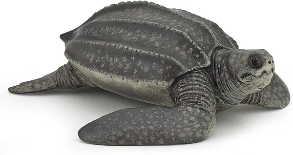 Figurina Papo Marine Life - Broasca testoasa din piele