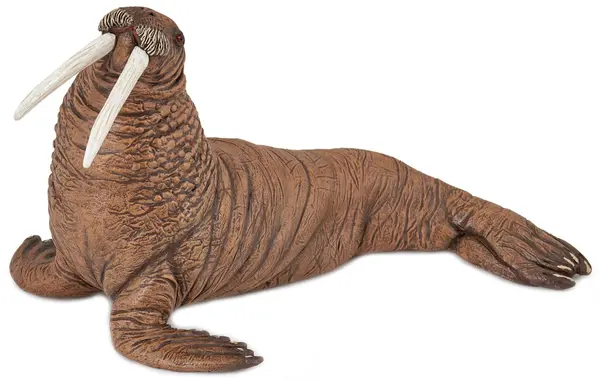 Figurina Papo Marine Life – Morsa