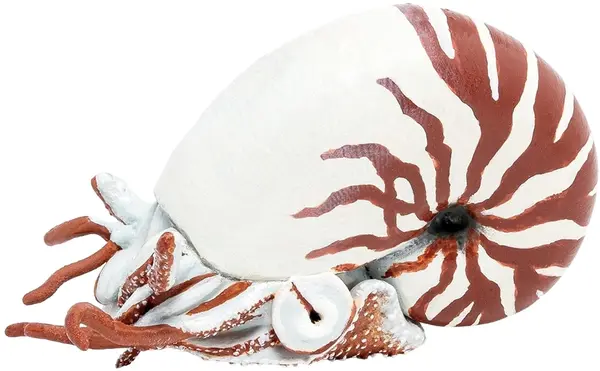 Figurină Papo Marine Life - Nautilus