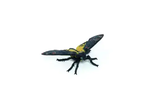 Figurina Papo - Molie (Multicolor)