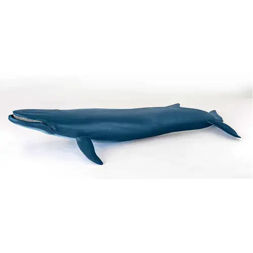 Figurina Papo - Universul acvatic, Balena Albastra