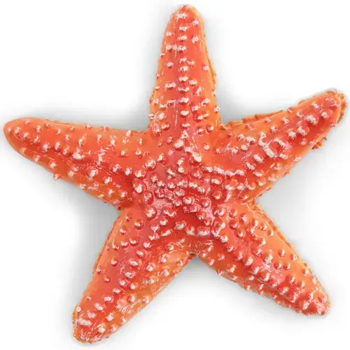 Figurina Papo - Universul acvatic, Stea de Mare