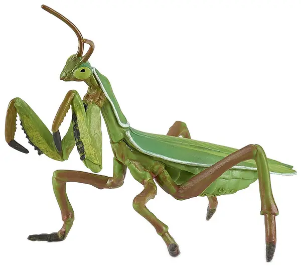 Figurina Papo Wild Animal Kingdom – Mantodee