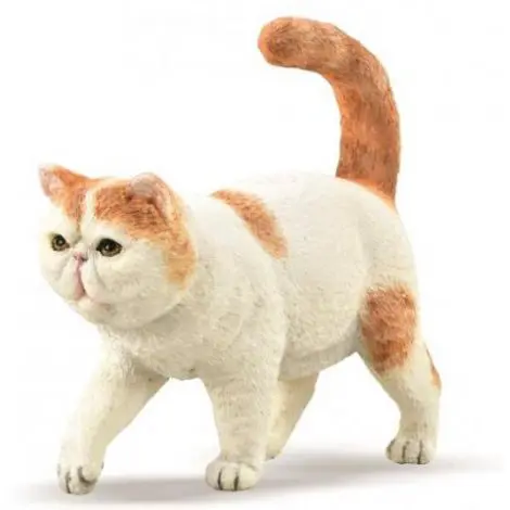 Figurina pictata manual Pisica Exotic Shorthair