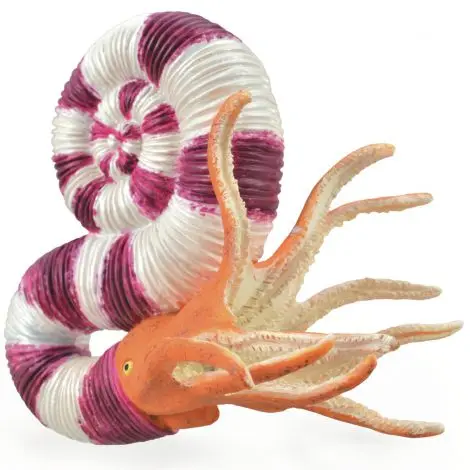 Figurina pictata manual Pravitoceras