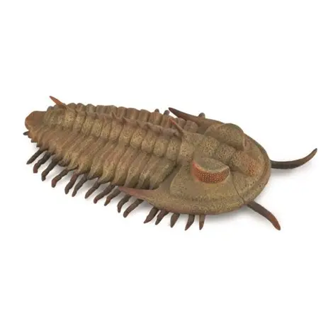 Figurina pictata manual Trilobit Redlichia Rex Trilobite