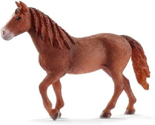 Figurina - Schleich - Cal Mare Morgan | Schleich