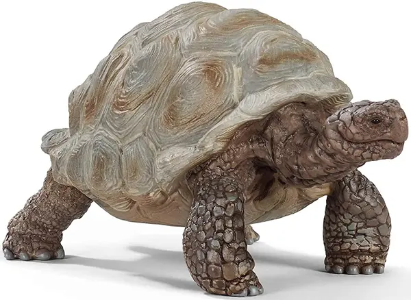 Figurina Schleich Wild Life - Testoasa gigantica