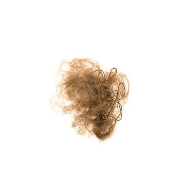 Fileu par coc Raphael Perrier Brown Invisible Updo Net 2 buc