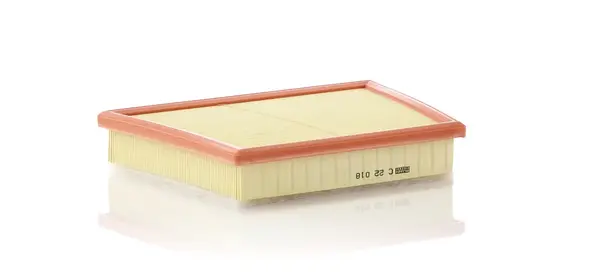 Filtru aer Mann-Filter C 22 018