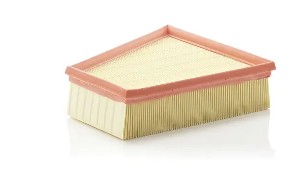 Filtru aer Mann-Filter C 2295 2