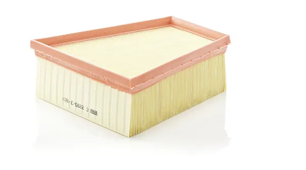 Filtru aer Mann-Filter C 2295 3