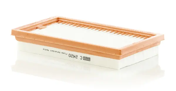 Filtru aer Mann-Filter C 2420
