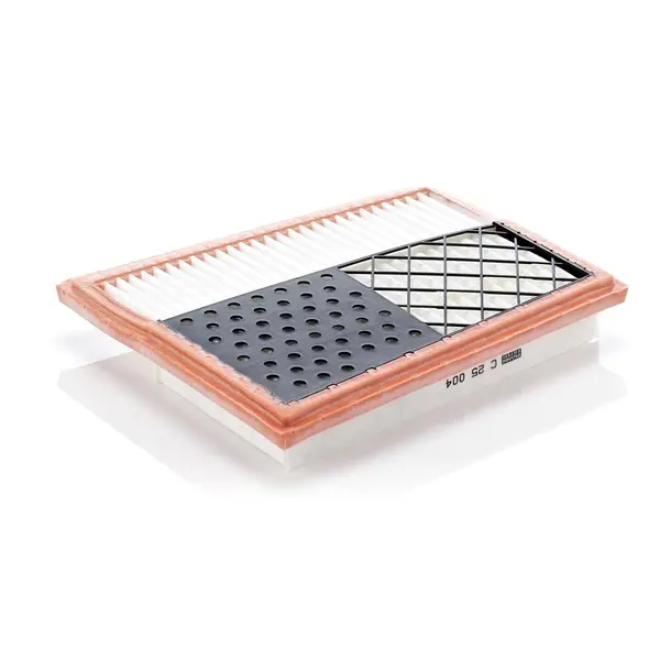 Filtru aer MANN-FILTER C 25 004