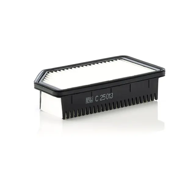 Filtru aer MANN-FILTER C 25 013