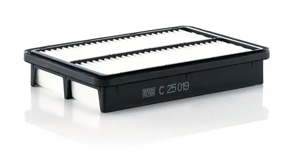 Filtru aer MANN-FILTER C 25 019