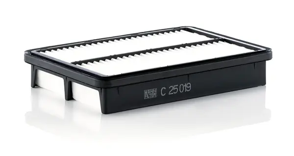 Filtru aer Mann-Filter C 25 019