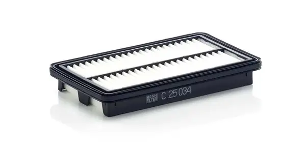 Filtru aer MANN-FILTER C 25 034
