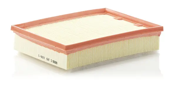 Filtru aer Mann-Filter C 25 109 1