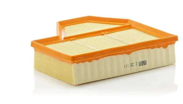 Filtru aer MANN-FILTER C 25 111