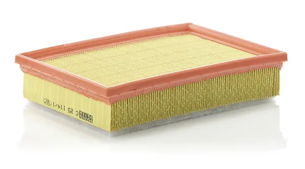 Filtru aer Mann-Filter C 25 114 1
