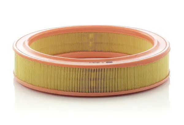 Filtru aer Mann-Filter C 2873 1