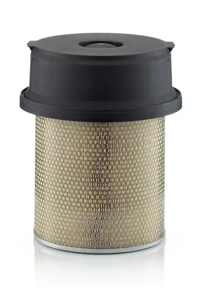 Filtru aer MANN-FILTER C 29 1219/1
