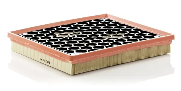 Filtru aer Mann-Filter C 29 145