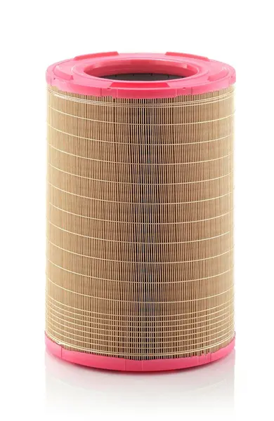 Filtru aer MANN-FILTER C 31 1255