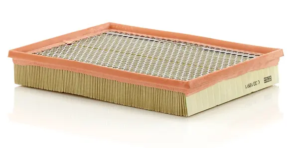 Filtru aer Mann-Filter C 33 189 1