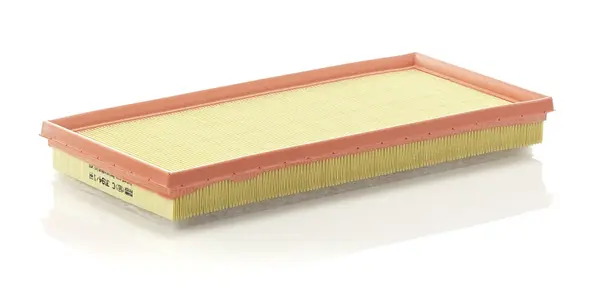 Filtru aer Mann-Filter C 3594 1