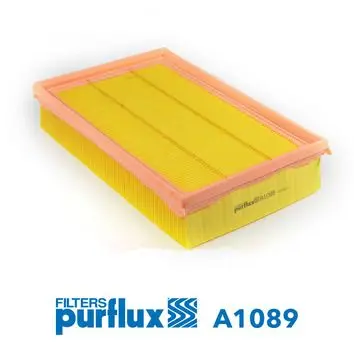 Filtru aer PURFLUX A1089