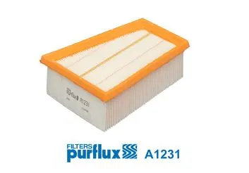 Filtru aer PURFLUX A1231