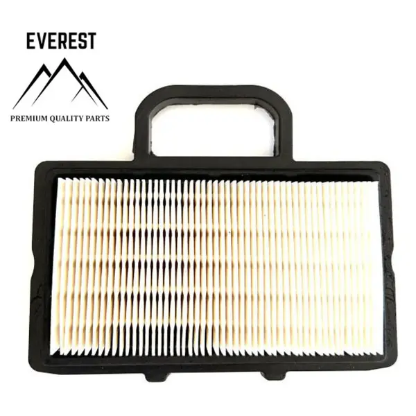 Filtru de Aer Briggs&stratton Intek 2 Cilinri Valiza Tip Nou Everest