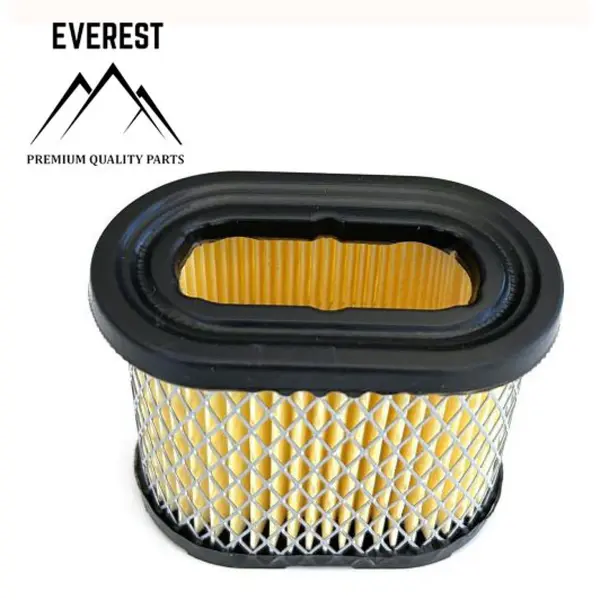 Filtru de Aer Briggs&stratton Intek 5,0-6,0 Km Everest