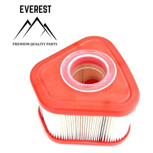 Filtru de Aer Briggs&stratton Seria 850 Everest