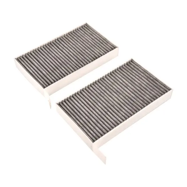 Filtru habitaclu cu carbon activat potrivit TESLA MODEL 3, MODEL Y Electric 01.17-