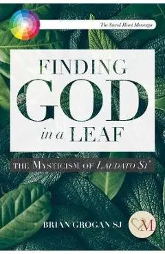 Finding God in a Leaf: The Mysticism of Laudato Si' - Brian Grogan
