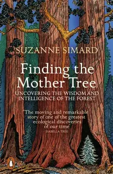 Finding the Mother Tree. Uncovering the Wisdom and Intelligence of the Forest, Paperback/Suzanne Simard