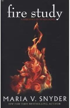 Fire Study