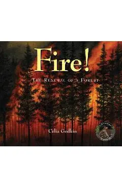 Fire!: The Renewal of a Forest - Celia Godkin