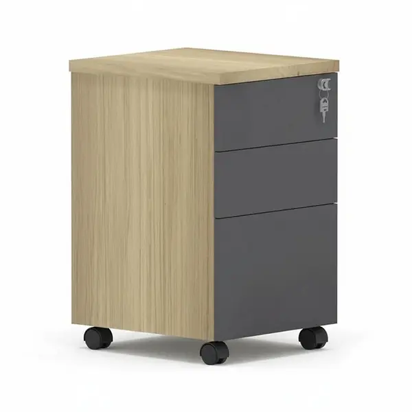 Fiset birou cu cheie Lotus Natural 40x44x61 cm