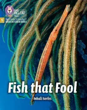 Fish that Fool. Phase 5 Set 1, Paperback/Inbali Iserles
