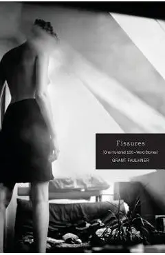 Fissures: One Hundred 100-Word Stories - Grant Faulkner