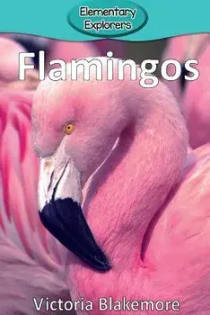 Flamingos, Paperback/Victoria Blakemore