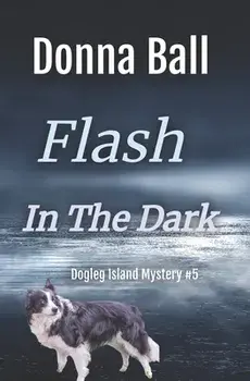 Flash in the Dark, Paperback/Donna Ball