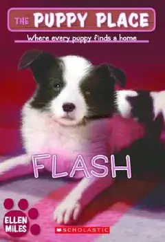 Flash, Paperback/Ellen Miles